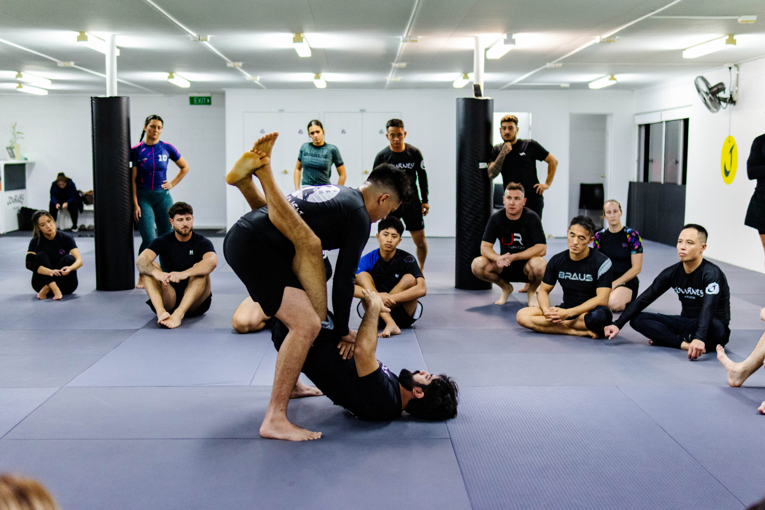 Picture of members at Journey Jiu-jitsu during nogi classs.